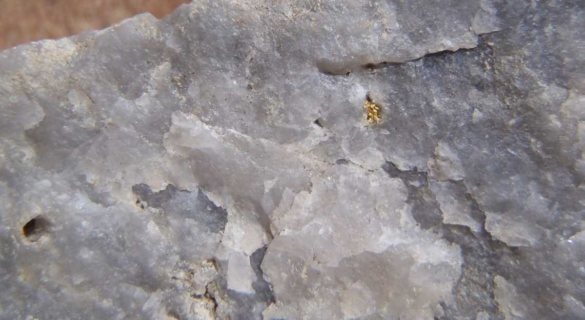 Historical field photograph of visible gold in a quartz-vein specimen from mine waste at the Mt Robinson mine in the Glendon area.